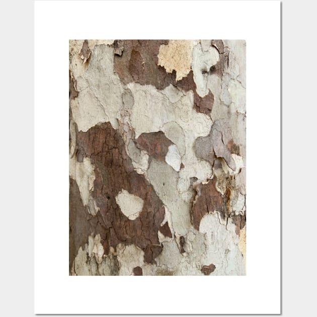 Bark Wall Art by PhotoT